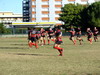 thumb_DSCF2832.JPG